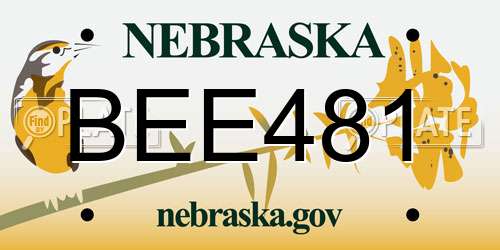 BEE481 Nebraska License Plate