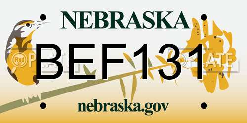 BEF131 Nebraska License Plate