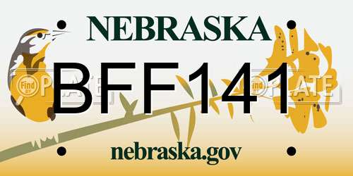 BFF141 Nebraska License Plate