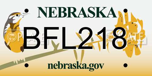 BFL218 Nebraska License Plate