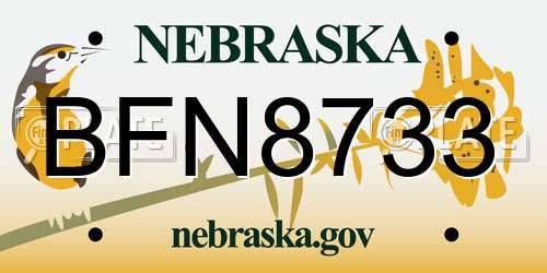 BFN8733 Nebraska License Plate