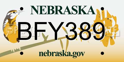 BFY389 Nebraska License Plate