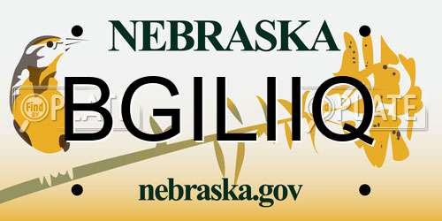 BGILIIQ Nebraska License Plate