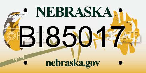 BI85017 Nebraska License Plate