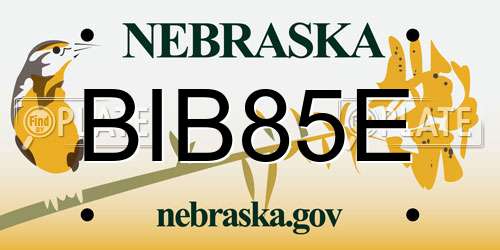 BIB85E Nebraska License Plate