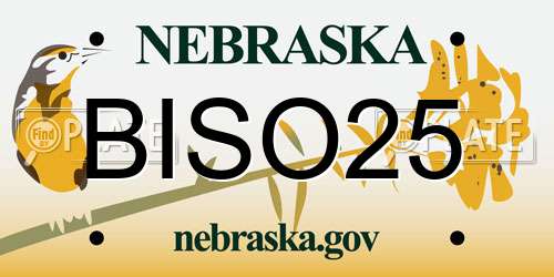 BISO25 Nebraska License Plate