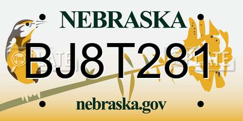 BJ8T281 Nebraska License Plate