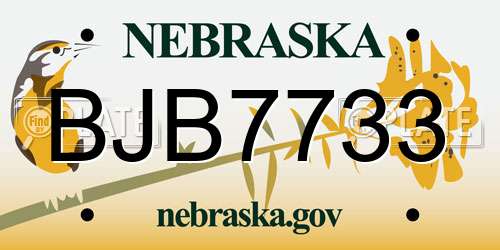 BJB7733 Nebraska License Plate