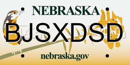 BJSXDSD Nebraska License Plate