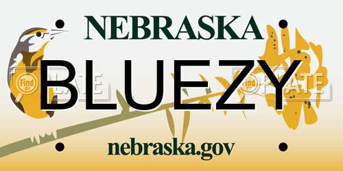 BLUEZY Nebraska License Plate