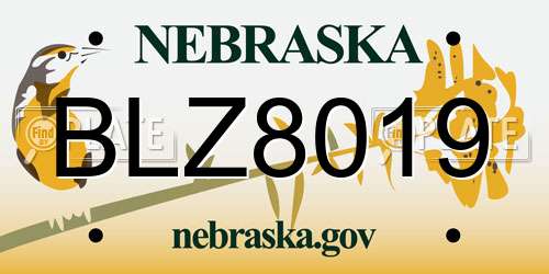 BLZ8019 Nebraska License Plate