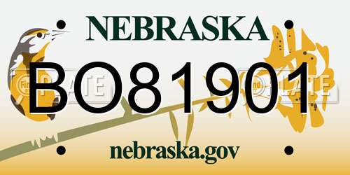 BO81901 Nebraska License Plate