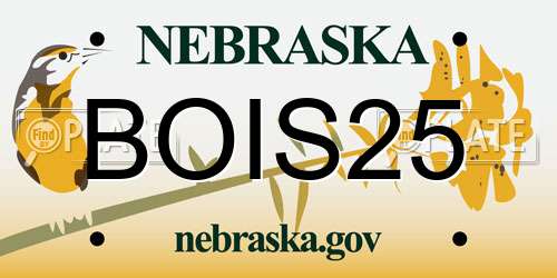 BOIS25 Nebraska License Plate