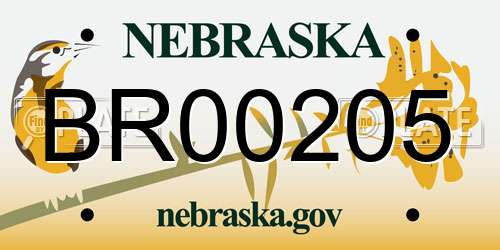 BR00205 Nebraska License Plate