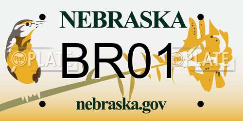 BR01 Nebraska License Plate