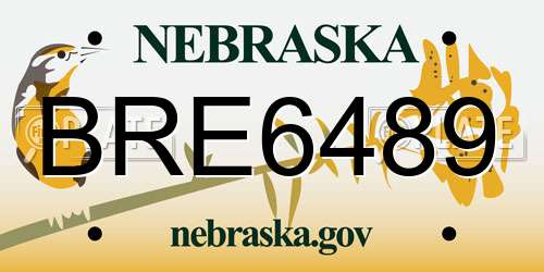 BRE6489 Nebraska License Plate