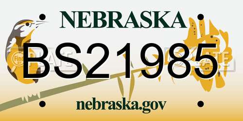 BS21985 Nebraska License Plate