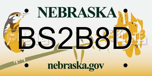 BS2B8D Nebraska License Plate