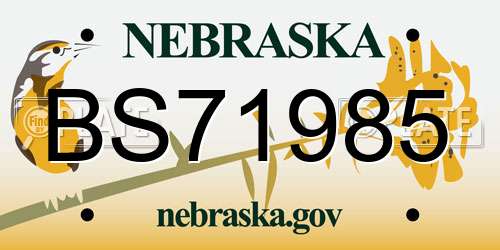 BS71985 Nebraska License Plate