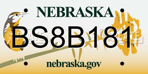 BS8B181 Nebraska License Plate