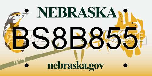 BS8B855 Nebraska License Plate
