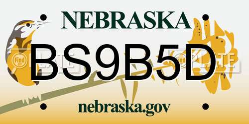 BS9B5D Nebraska License Plate