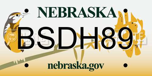 BSDH89 Nebraska License Plate