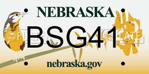 BSG41 Nebraska License Plate