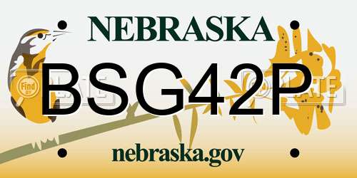 BSG42P Nebraska License Plate