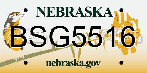 BSG5516 Nebraska License Plate