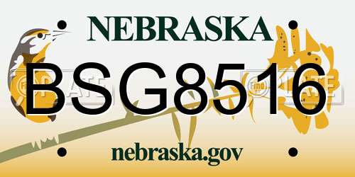 BSG8516 Nebraska License Plate