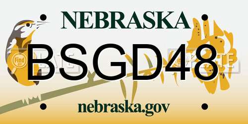 BSGD48 Nebraska License Plate