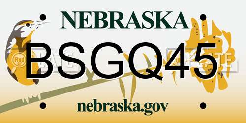 BSGQ45 Nebraska License Plate