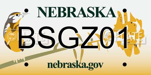 BSGZ01 Nebraska License Plate