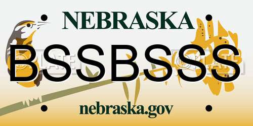 BSSBSSS Nebraska License Plate