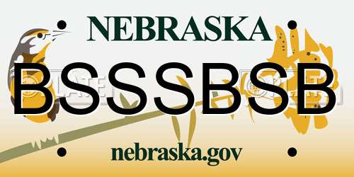 BSSSBSB Nebraska License Plate