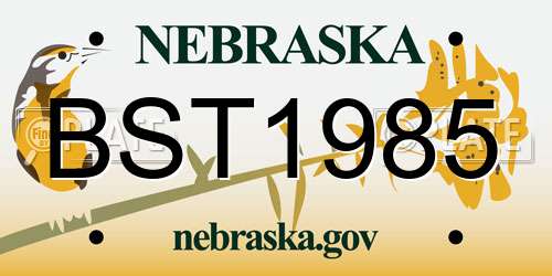 BST1985 Nebraska License Plate