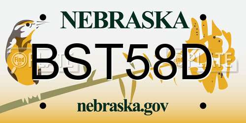 BST58D Nebraska License Plate