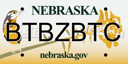 BTBZBTC Nebraska License Plate