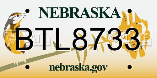 BTL8733 Nebraska License Plate