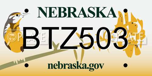 BTZ503 Nebraska License Plate