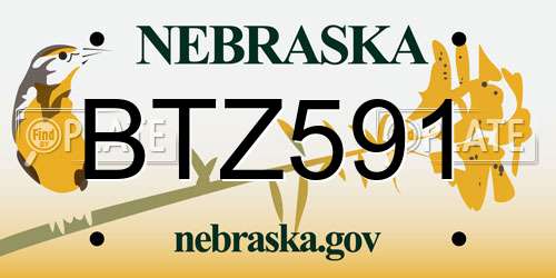 BTZ591 Nebraska License Plate