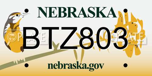 BTZ803 Nebraska License Plate