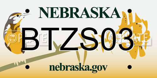 BTZS03 Nebraska License Plate