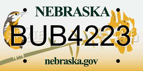 BUB4223 Nebraska License Plate