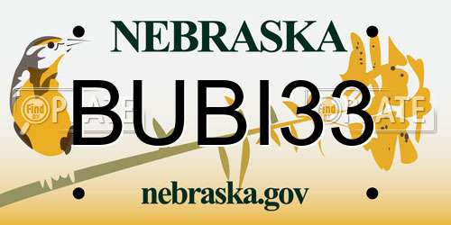 BUBI33 Nebraska License Plate