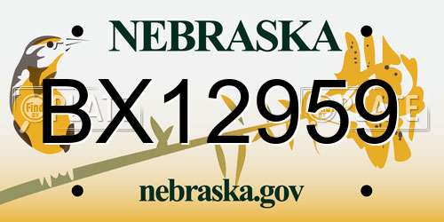 BX12959 Nebraska License Plate