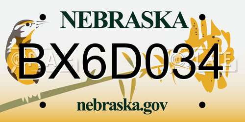BX6D034 Nebraska License Plate