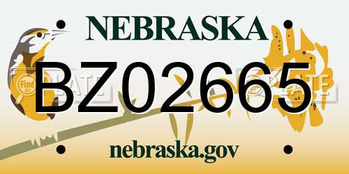 BZ02665 Nebraska License Plate
