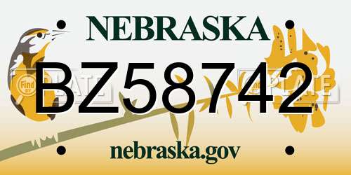 BZ58742 Nebraska License Plate
